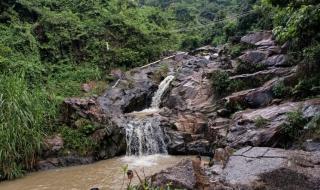 东莞大岭山森林公园